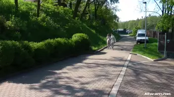 Real Estate Mess Disaster Screencap 67 on sinx.preview.netperv.com