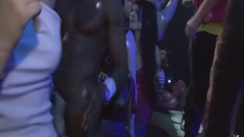 Party Hardcore Vol. 49 Part 5 - Cam 2 Screencap 45 on sinx.preview.netperv.com