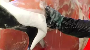 Lesbian Laundromat Screencap 80 on sinx.preview.netperv.com