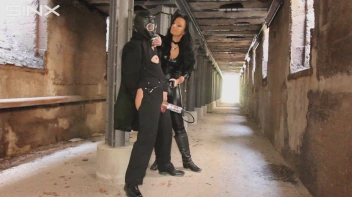 Den Schwanz groß gepumpt Screencap 34 on sinx.preview.netperv.com