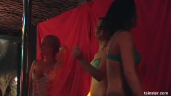 Life Is A Party - Satin & Lace Sluts Part 2 - Cam 2 Screencap 61 on sinx.preview.netperv.com