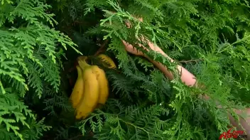 Piss Pound Me Properly Screencap 9 on sinx.preview.netperv.com