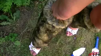 Piss Pound Me Properly Screencap 14 on sinx.preview.netperv.com