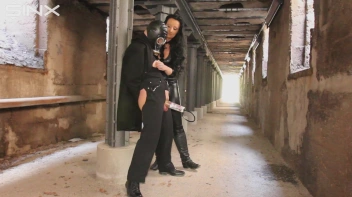 Den Schwanz groß gepumpt Screencap 40 on sinx.preview.netperv.com