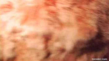 Rough Riders Part 1 - Cam 2 Screencap 14 on sinx.preview.netperv.com