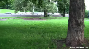 Park Bench Piss Slut Gives Head Screencap 87 on sinx.preview.netperv.com