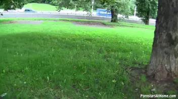 Park Bench Piss Slut Gives Head Screencap 39 on sinx.preview.netperv.com