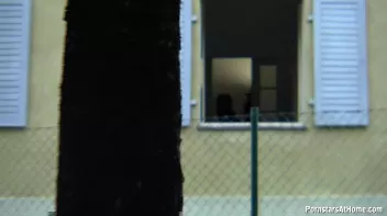 Park Bench Piss Slut Gives Head Screencap 59 on sinx.preview.netperv.com