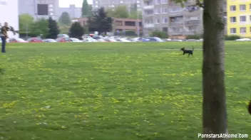 Eurobabes Know How To Have A Picnic Screencap 24 on sinx.preview.netperv.com