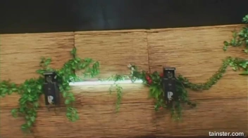 Pissy Pussy Pie Screencap 59 on sinx.preview.netperv.com