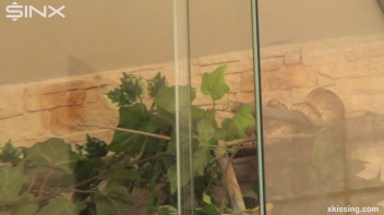 Tongue Twisted Lezzy Girlfriends Screencap 55 on sinx.preview.netperv.com