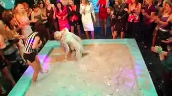 Dionne Darling vs. Christina Lee Screencap 24 on sinx.preview.netperv.com