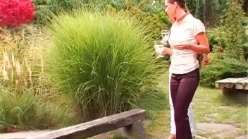 The Cock Whip-out Screencap 1 on sinx.preview.netperv.com