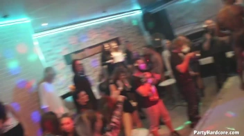 Party Hardcore Gone Crazy Vol. 31 Part 4 - Cam 2 Screencap 23 on sinx.preview.netperv.com