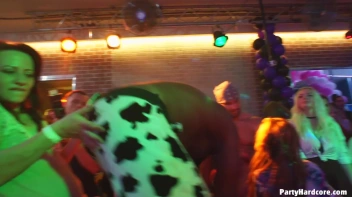 Party Hardcore Gone Crazy Vol. 38 Part 7 - Cam 2 Screencap 1 on sinx.preview.netperv.com