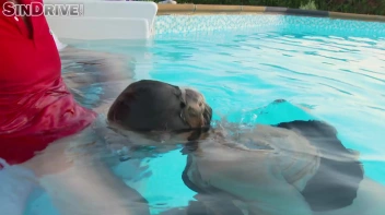 Dip In The Pool For Some Dick!  Freaky Foursome Gets Wet and Messy! Screencap 62 on sinx.preview.netperv.com