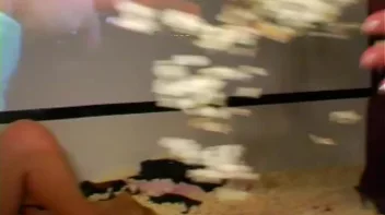 Porno Pop Party Part 2 - Cam 1 Screencap 90 on sinx.preview.netperv.com