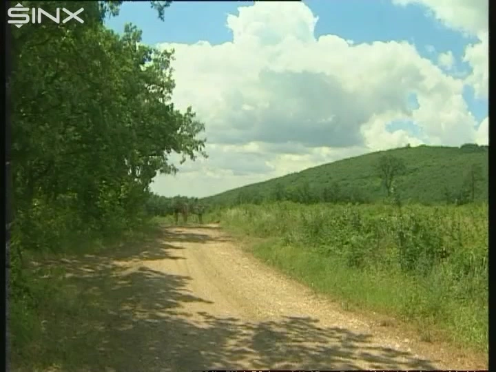 Im Wald heftig durchgeknallt on sinx.preview.netperv.com