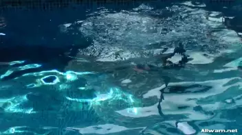 Break A Sweat Then Hit The Pool! Screencap 44 on sinx.preview.netperv.com