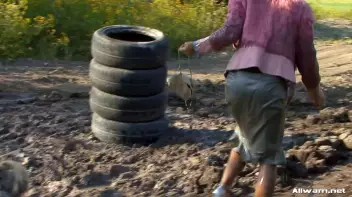 The WaM Obstacle Course From Hell Screencap 46 on sinx.preview.netperv.com