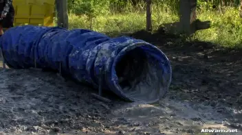 The WaM Obstacle Course From Hell Screencap 61 on sinx.preview.netperv.com