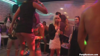 Party Hardcore Gone Crazy Vol. 31 Part 5 - Cam 3 Screencap 65 on sinx.preview.netperv.com