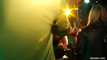 Swingers Ball Part 1 - Cam 3 Screencap 7 on sinx.preview.netperv.com