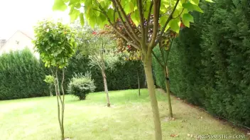 There's A Buzz In The Air Screencap 10 on sinx.preview.netperv.com