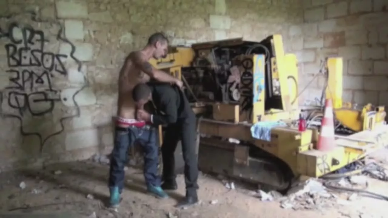 Polo used by a top dominant in exhib on sinx.preview.netperv.com