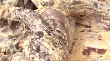 Furious Female Food Fight Screencap 90 on sinx.preview.netperv.com