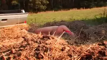 Collection Agents Are Out For More Than Just Money... Screencap 107 on sinx.preview.netperv.com