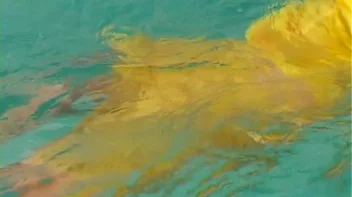 Satin Clad Cuties Hop In The Pool Screencap 104 on sinx.preview.netperv.com