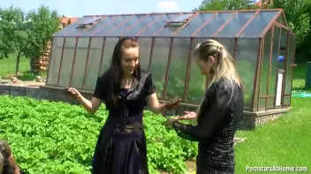 Three Beauties Make A Mess Of Themselves In The Backyard Screencap 30 on sinx.preview.netperv.com