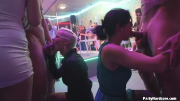 Party Hardcore Gone Crazy Vol. 31 Part 2 - Main Edit Screencap 29 on sinx.preview.netperv.com