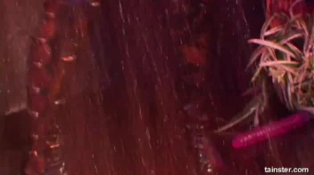 Booty Pageant Part 4 - Cam 2 Screencap 45 on sinx.preview.netperv.com