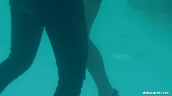 Satin And Fur Wetlook Bunnies Screencap 78 on sinx.preview.netperv.com