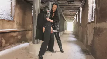 Den Schwanz aufgepumpt Screencap 42 on sinx.preview.netperv.com