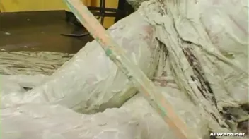 Art Supply Messiness Screencap 93 on sinx.preview.netperv.com