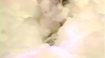 Bangstas Paradise Part 3 - Cam 1 Screencap 49 on sinx.preview.netperv.com