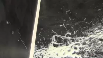 SlimeWave Makes You Work For The Money Screencap 93 on sinx.preview.netperv.com