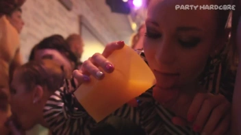 Party Hardcore Gone Crazy Vol. 26 Part 5 - Main edit Screencap 94 on sinx.preview.netperv.com