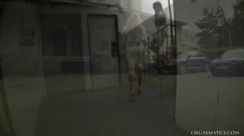 You Can Run But You Can't Hide Screencap 7 on sinx.preview.netperv.com