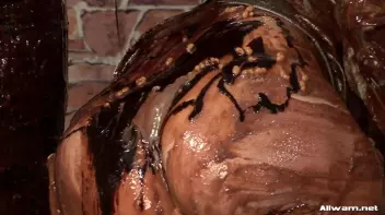 A Royally Fucked Up WaM Experience Screencap 109 on sinx.preview.netperv.com