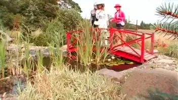 Gina's Unfortunate Series of Events Screencap 6 on sinx.preview.netperv.com