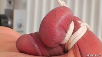 The Trainer From Hell Screencap 38 on sinx.preview.netperv.com