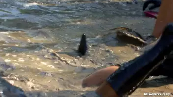 The WaM Obstacle Course From Hell Screencap 23 on sinx.preview.netperv.com