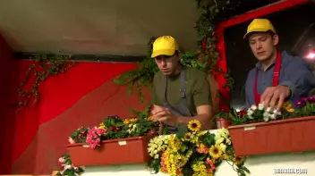 A Bonafide Bi-Sexual Delight Screencap 2 on sinx.preview.netperv.com