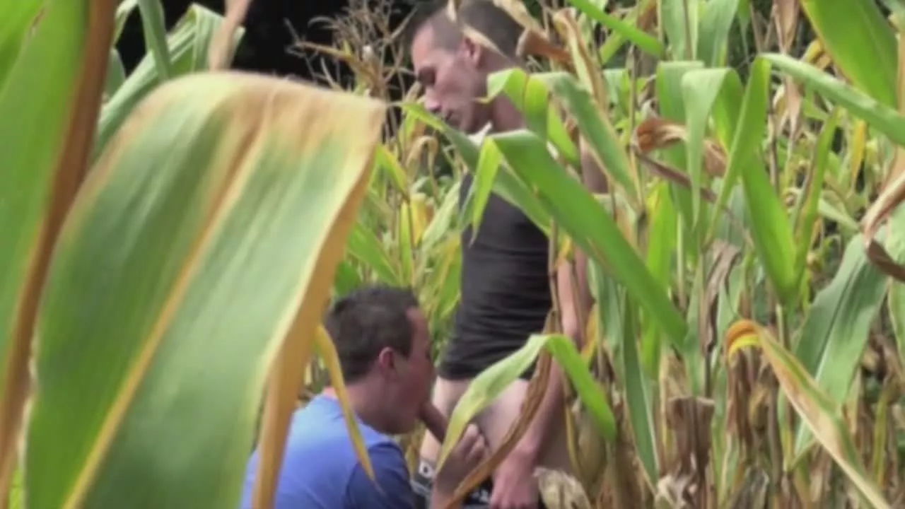 slut fucked by straight twin outdoor on sinx.preview.netperv.com