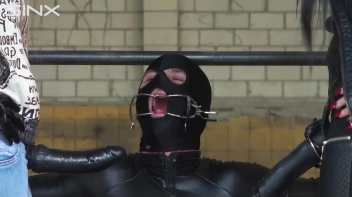 Blas unsere Gummischwänze Screencap 31 on sinx.preview.netperv.com