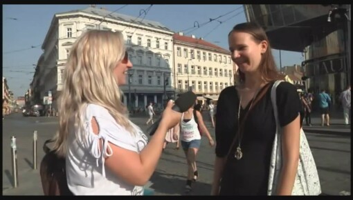 Latest deal - New guy for Sweet Cat